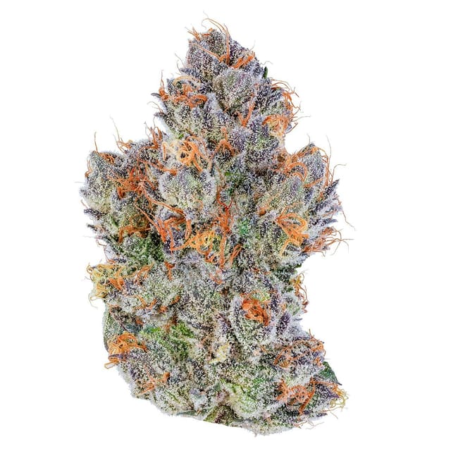 Couch Rider | 3.5g