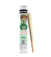 Quiet Kings — Strawberry Cough