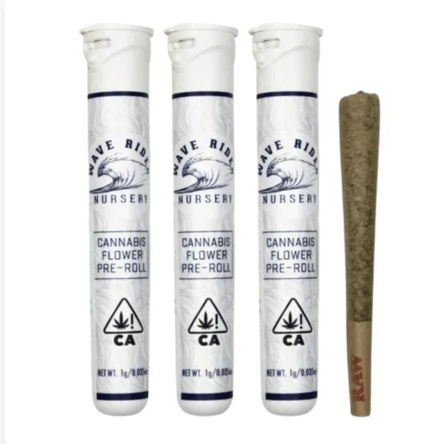 Orange Gelato | 1g Hash Infused Preroll