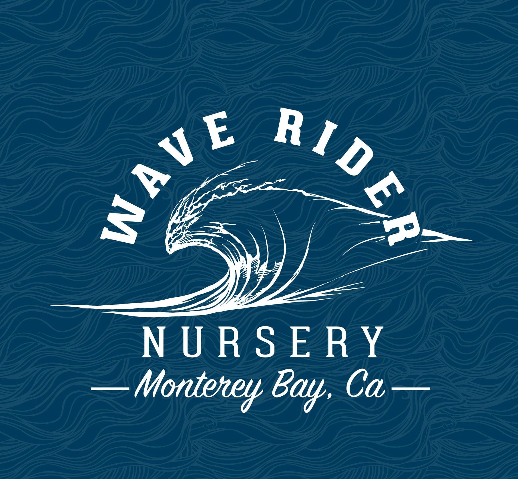 Wave Rider Nursery — Obama Runtz