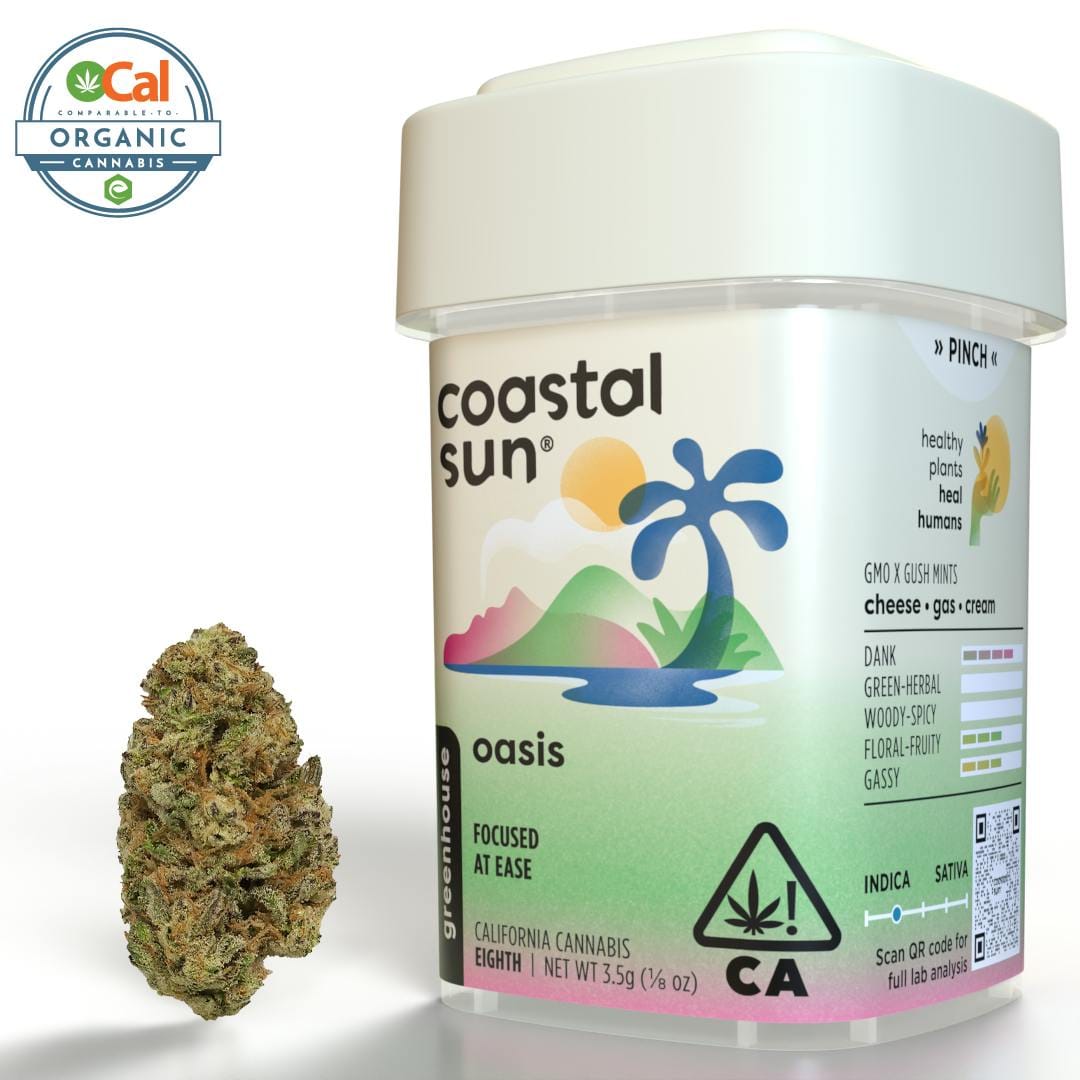 Coastal Sun — Oasis