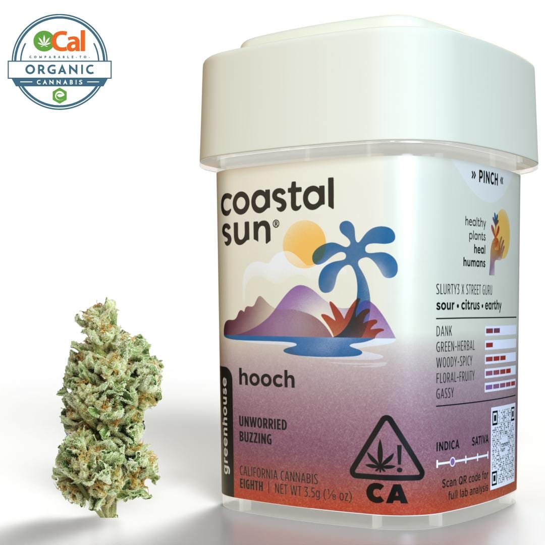 Coastal Sun — Hooch