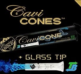 Caviar Gold — Lost Louie