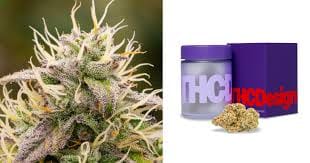 THC Design — Gg4