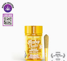 Mango Sherbert | 2.5g | .5g x 5 Baby Jeeter Rosin Infused Preroll Pack
