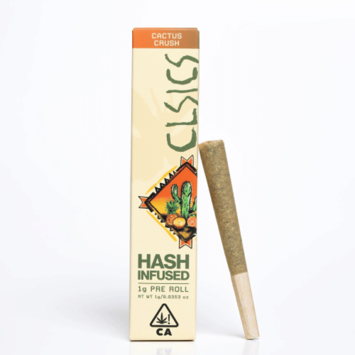 CLSICS — Cactus Crush