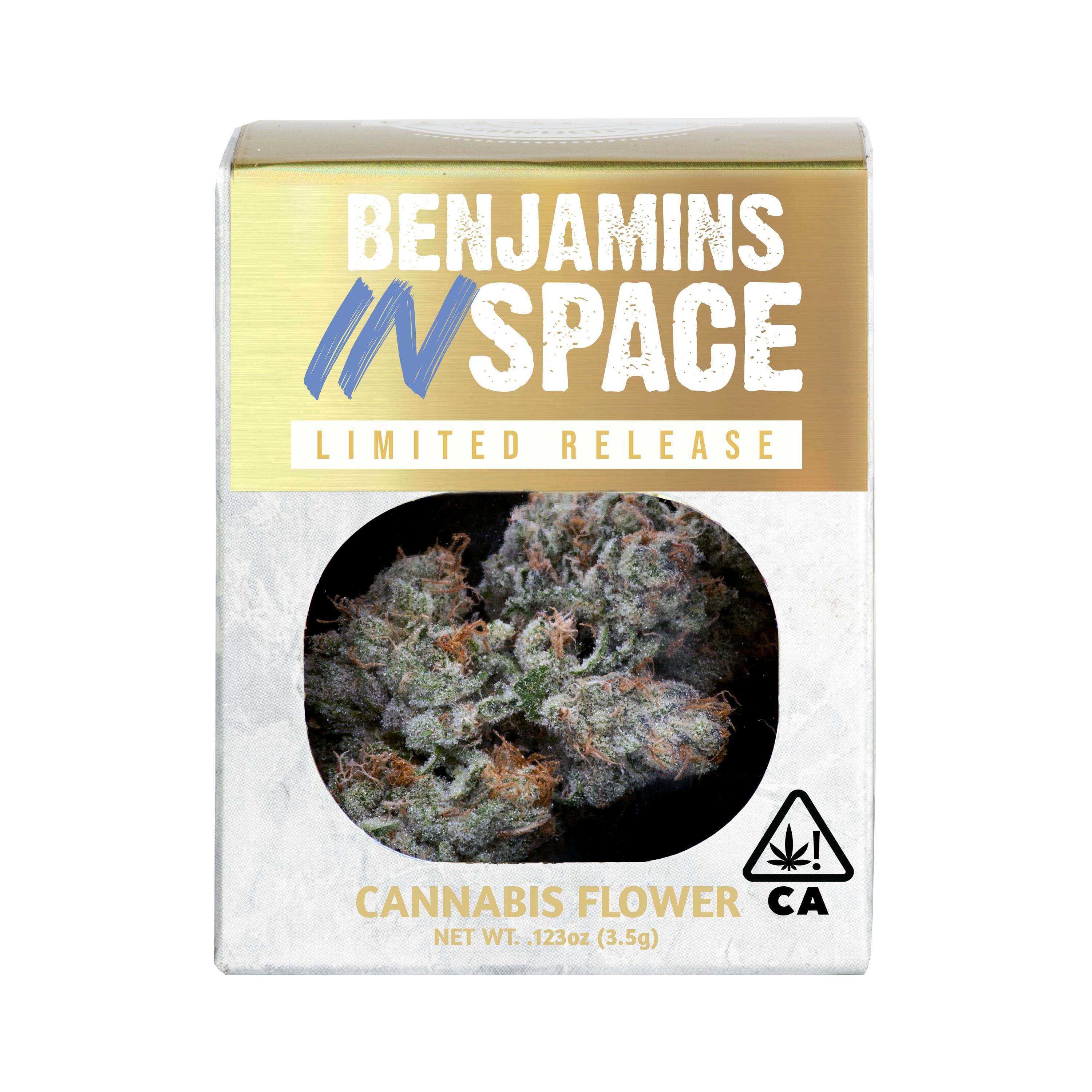 Decibel Gardens — Benjamins In Space