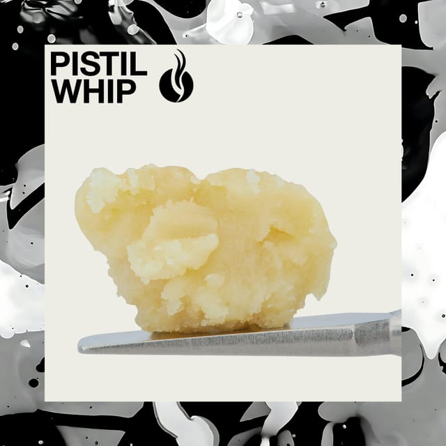 Motorbreath x Banana Punch | 1g Live Rosin Badder