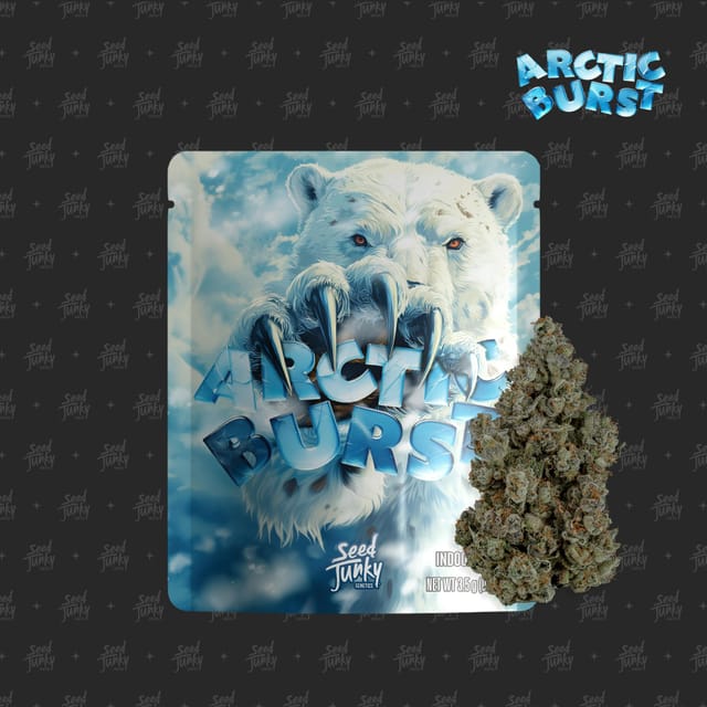 Arctic Burst | 3.5g