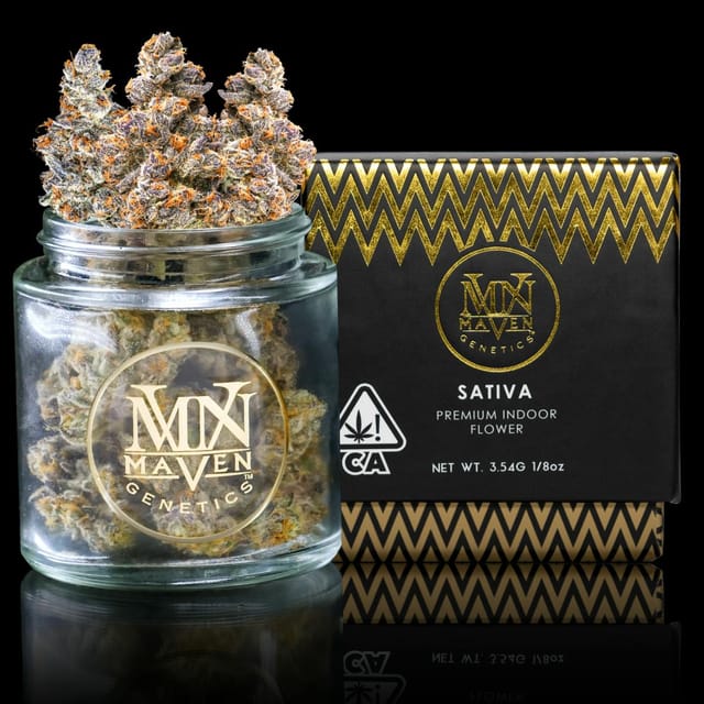 Maven Genetics — Orange Sapphire