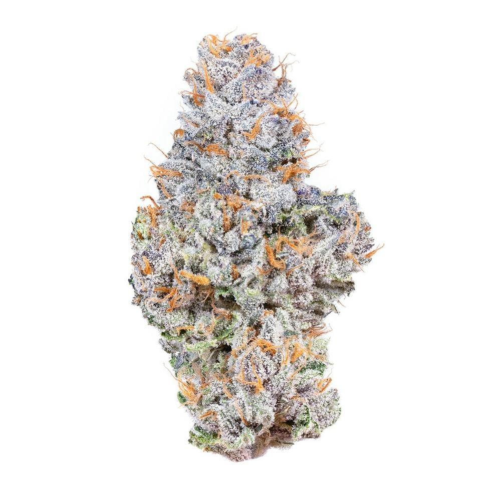 Gelato 41 | 3.5g Flower