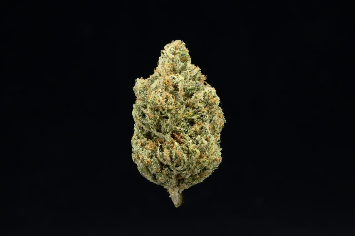 UpNorth — Headband