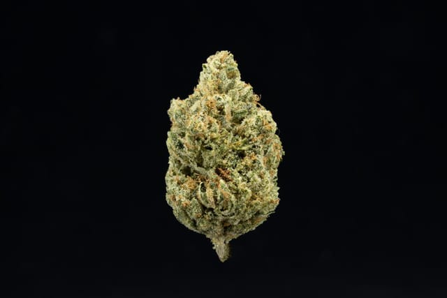 UpNorth — Headband