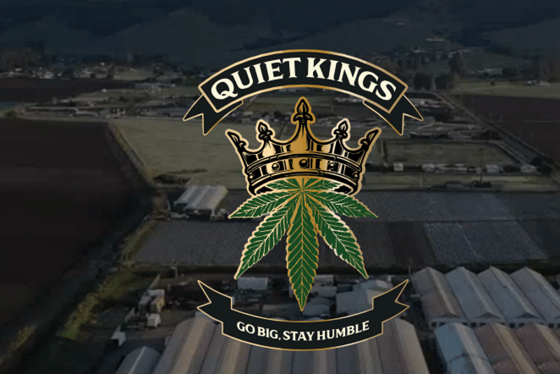 Quiet Kings — Grape God