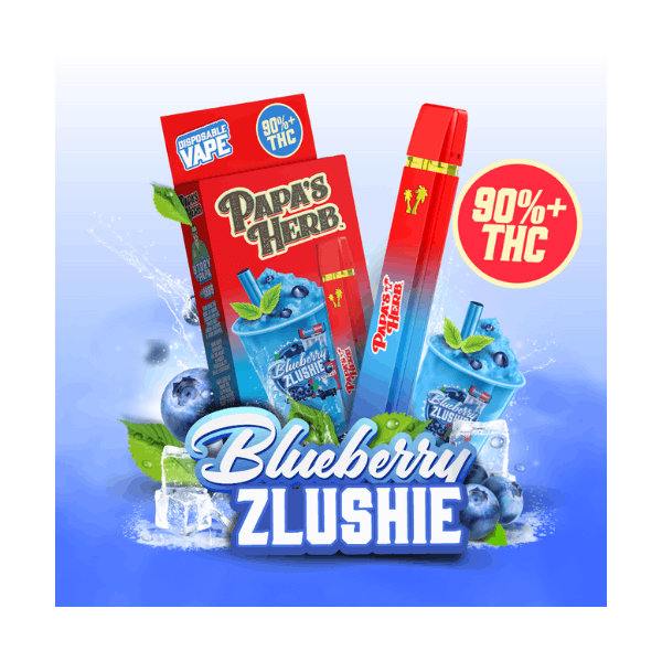 Blueberry Zlushie | 1g AIO