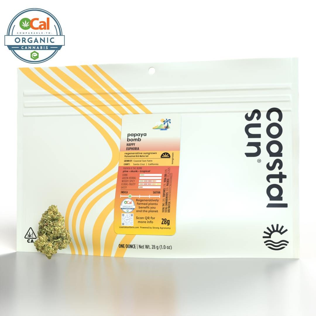 Coastal Sun — Papaya Bomb