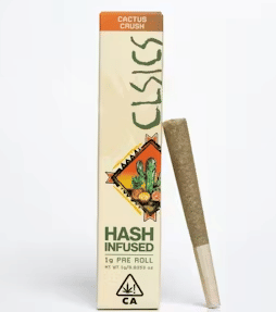 Cactus Crush | 1g Hash Infused Preroll