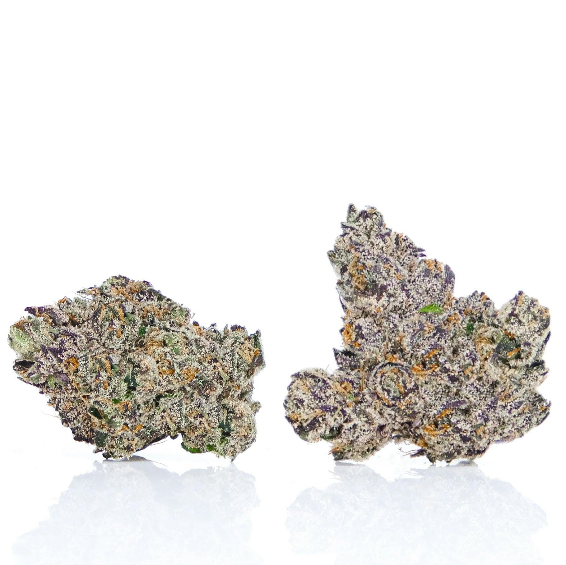 LAX PACKS — Novacane