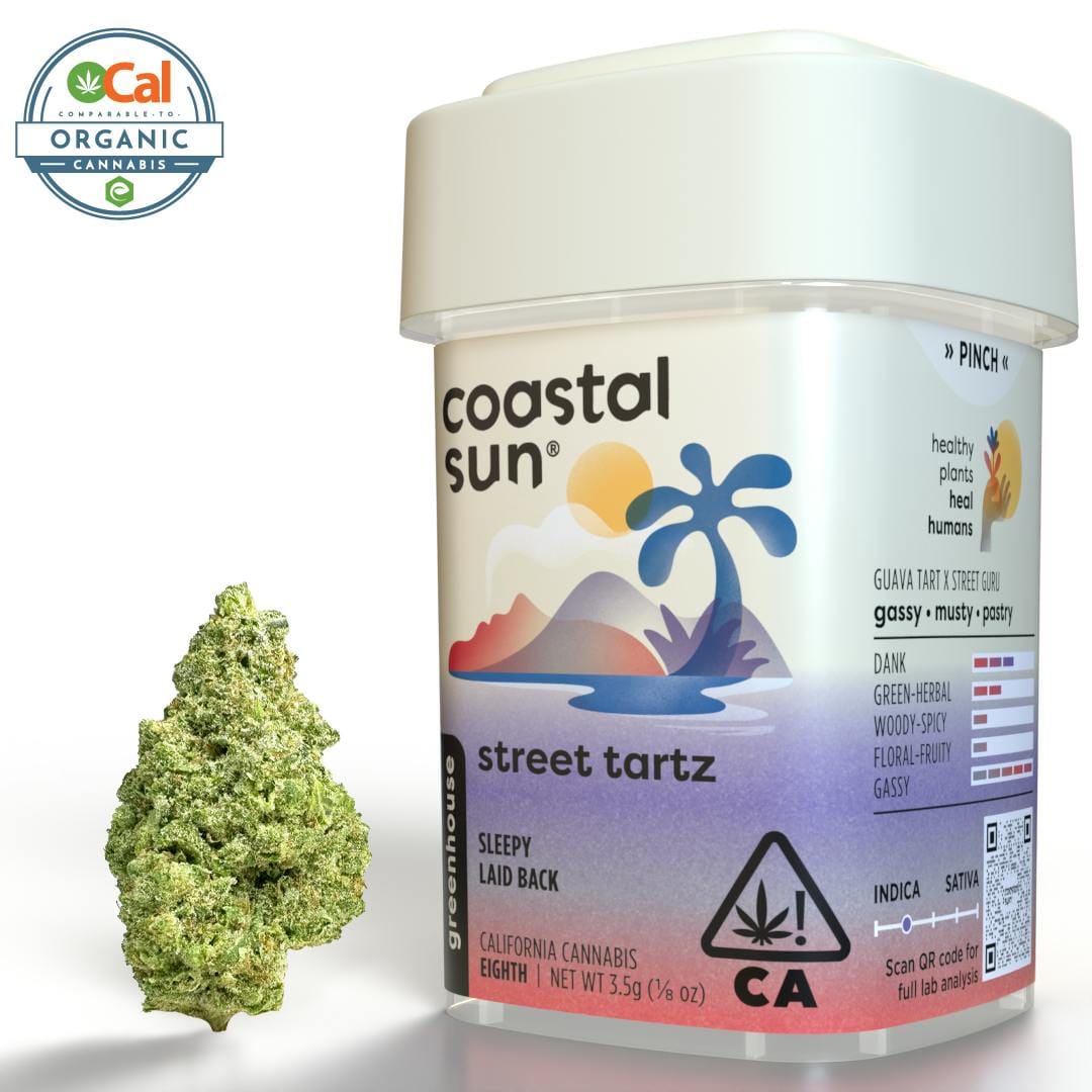 Coastal Sun — Street Tartz