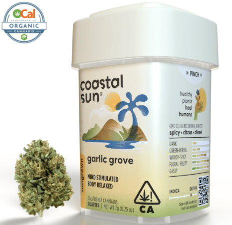 Coastal Sun β Garlic Grove