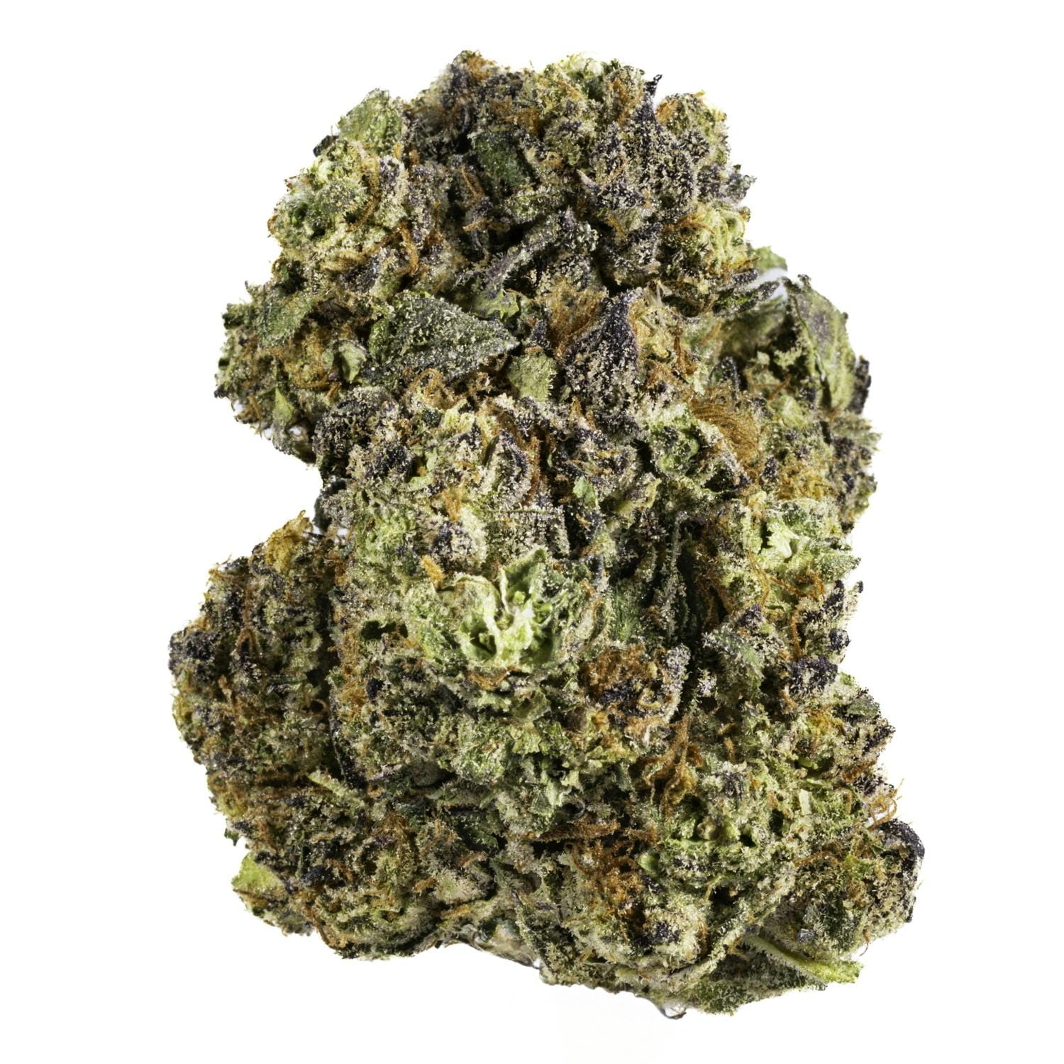 West Coast Cure — Purpscotti