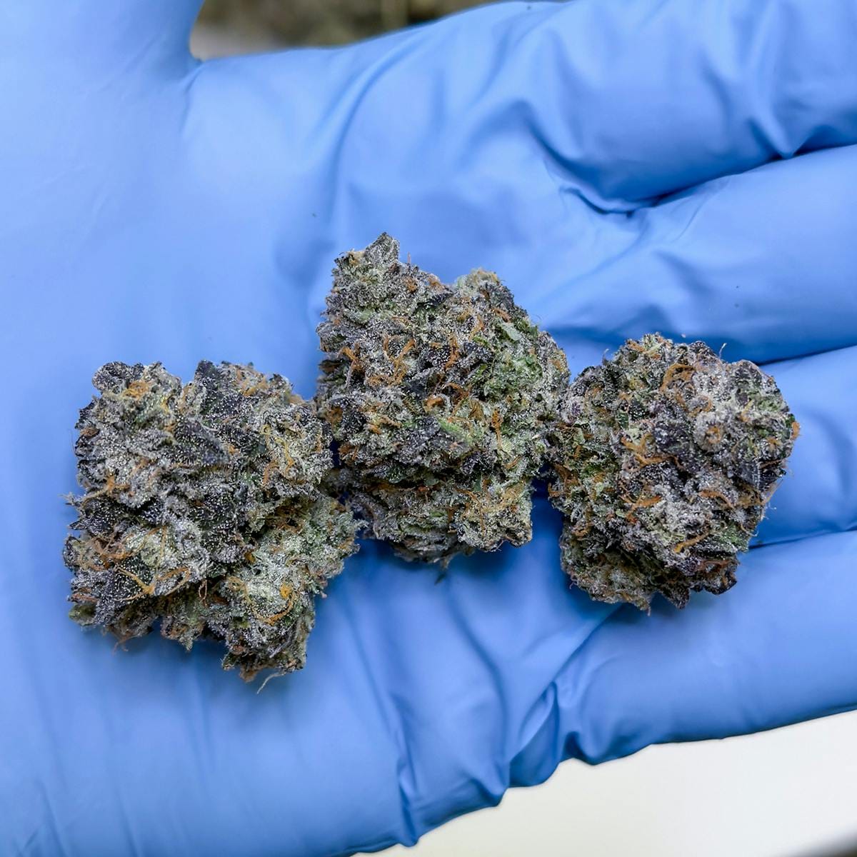 Fig Farms: Mad Dog 64