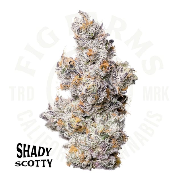Shady Scotty | 3.5G