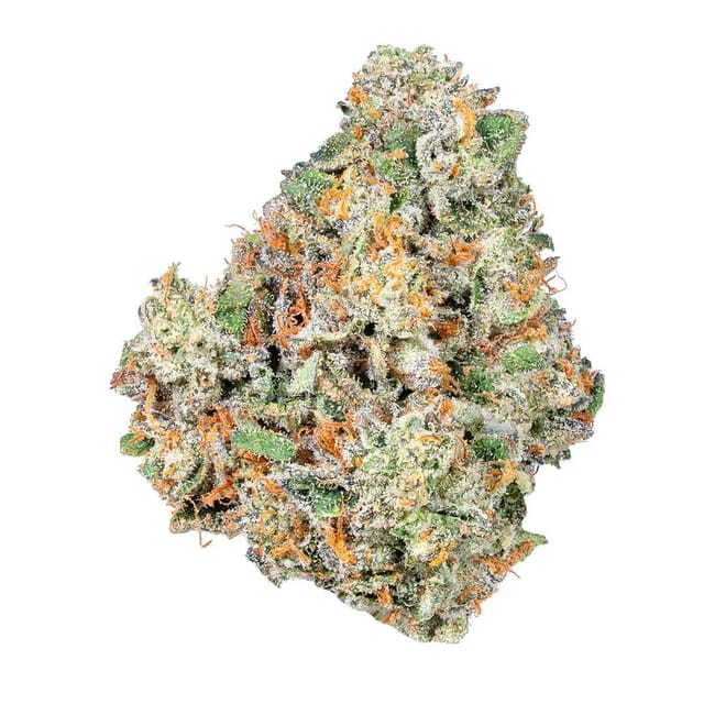 Alien Labs β Kryptidz
