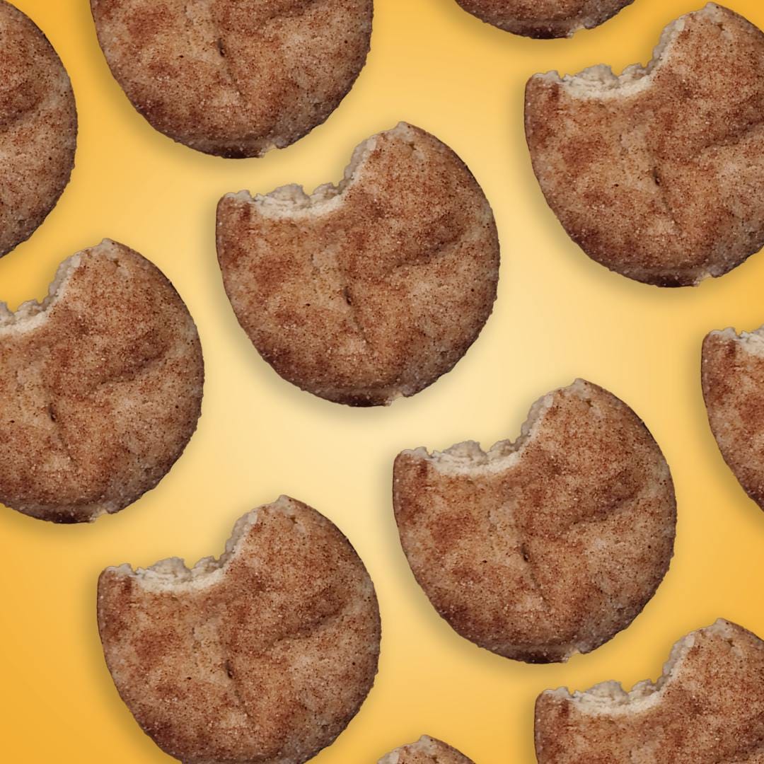 DR. NORM'S — Snickerdoodle Cookie