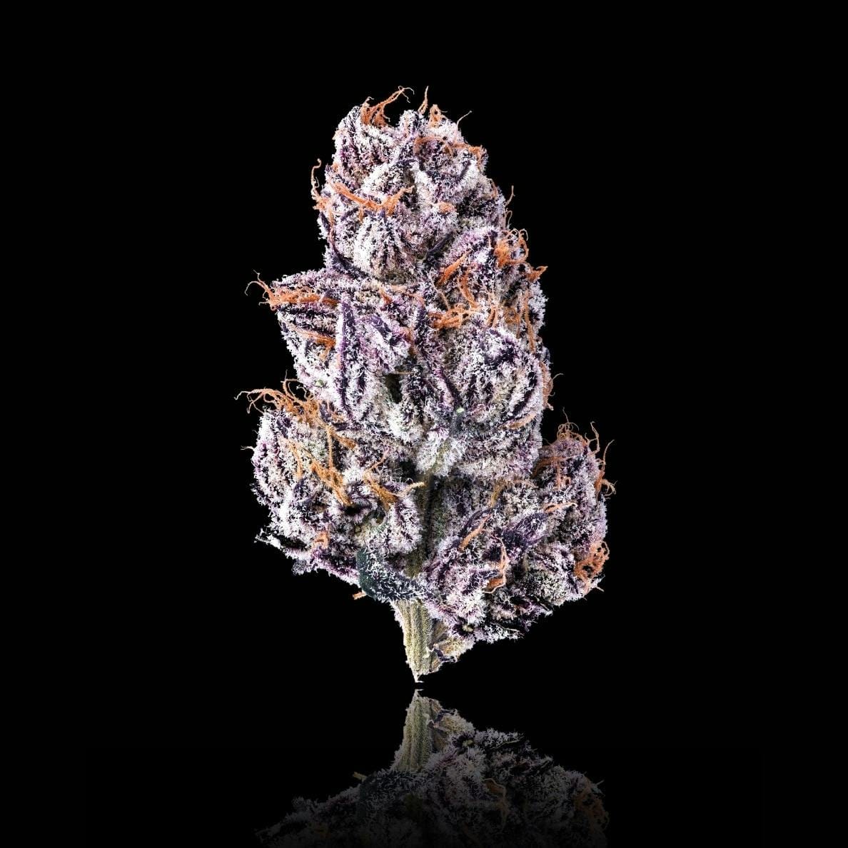 New Money | 3.5g