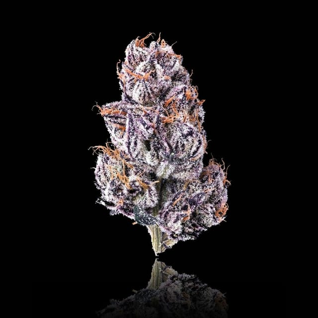 New Money | 3.5g