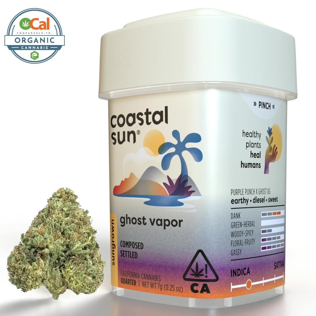 Coastal Sun — Ghost Vapor