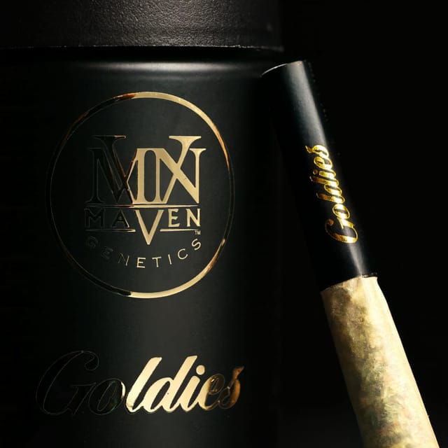 Maven Genetics — New Money