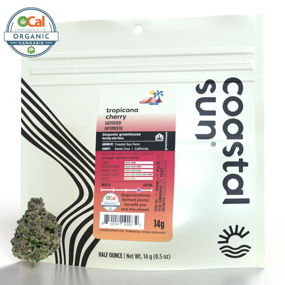 Tropicana Cherry | 14g