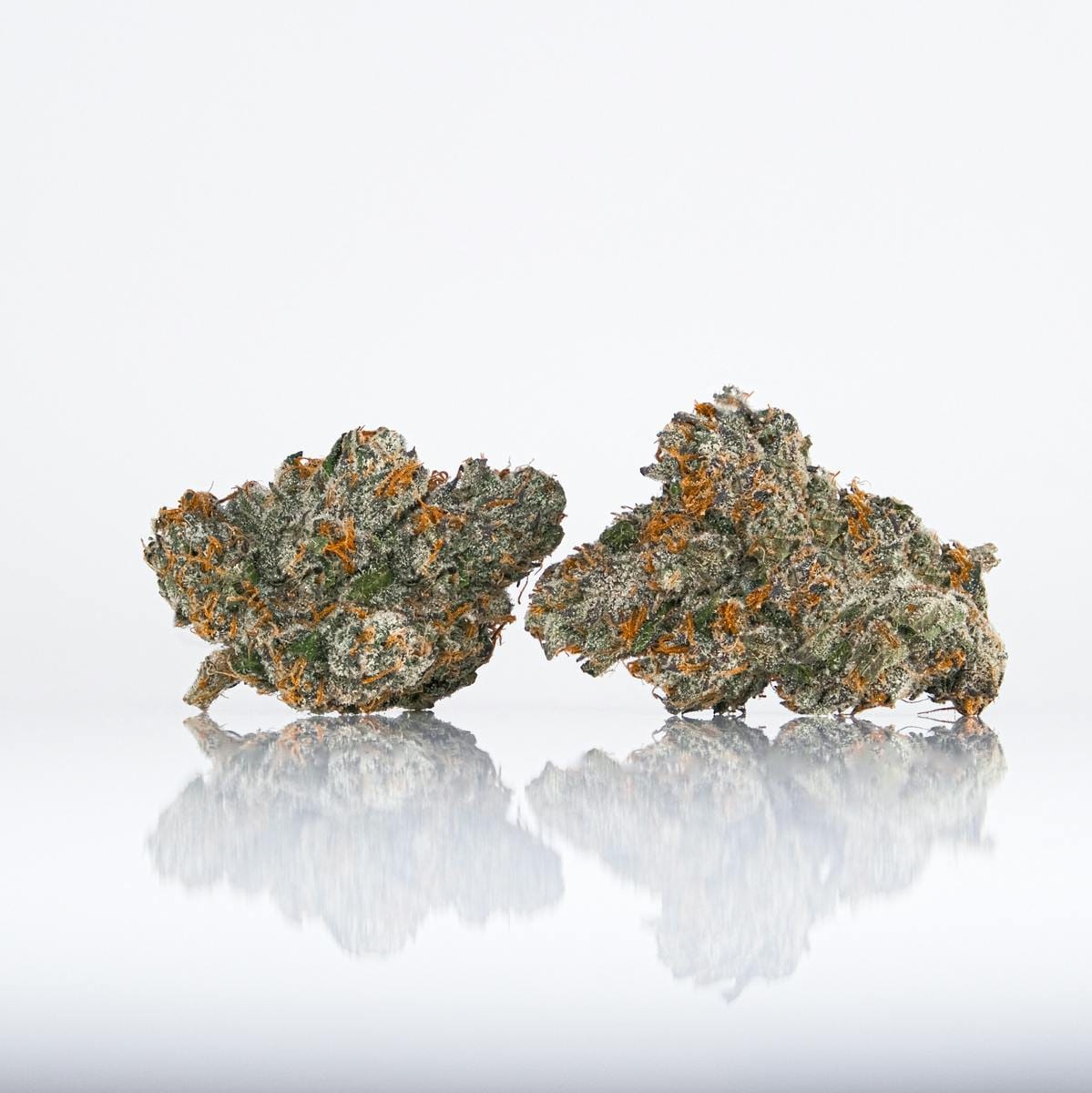 LAX PACKS — Lemon Crack