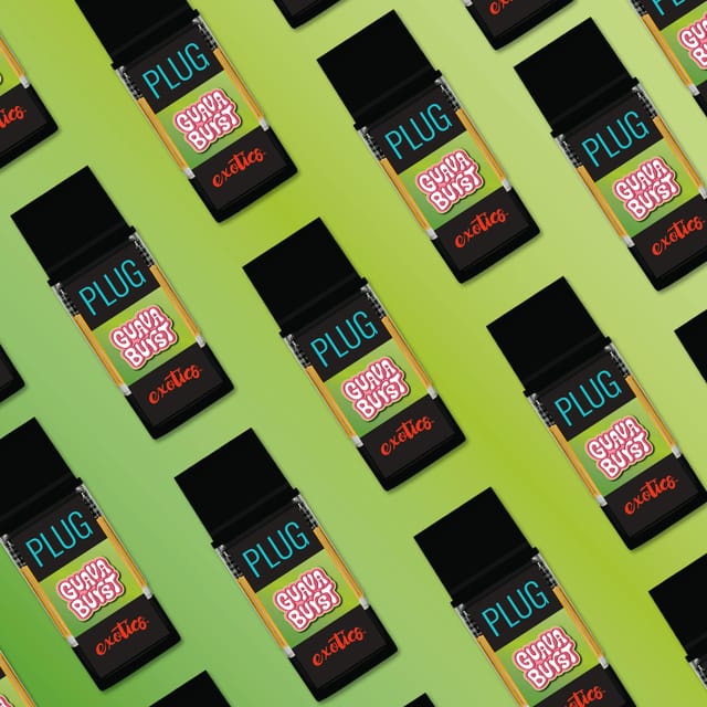 PlugPlay — Guava Burst