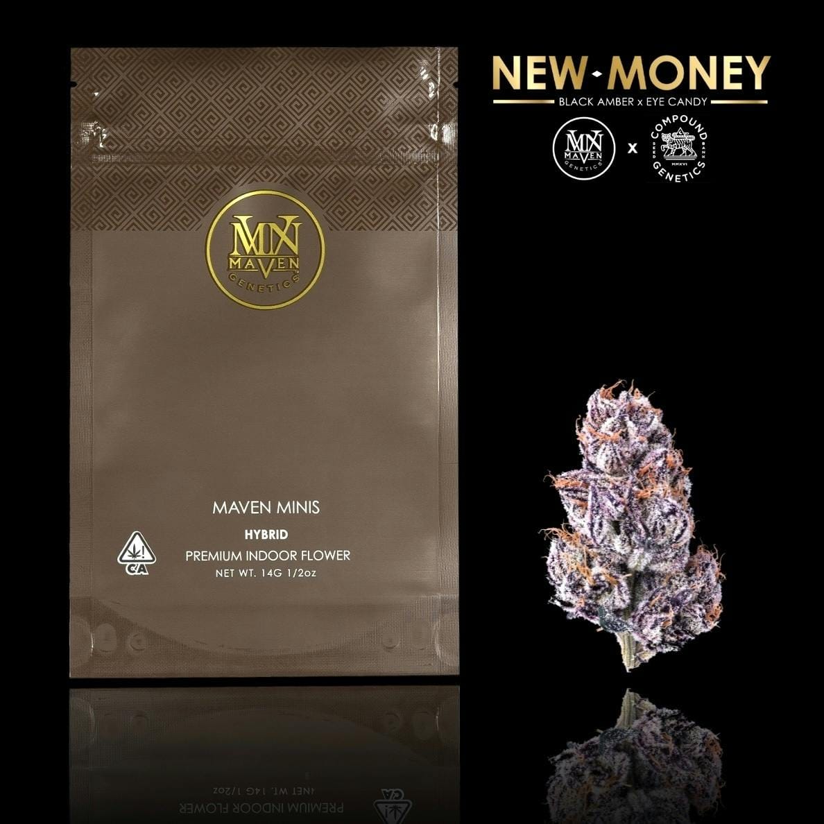 Maven Genetics — New Money