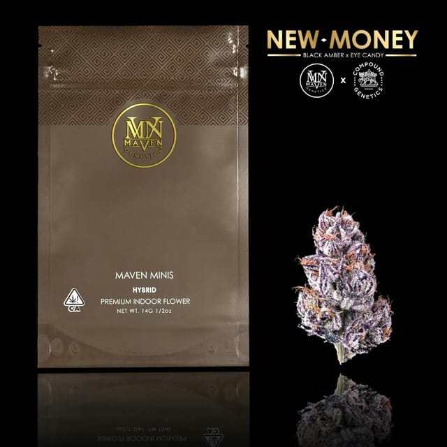 Maven Genetics — New Money