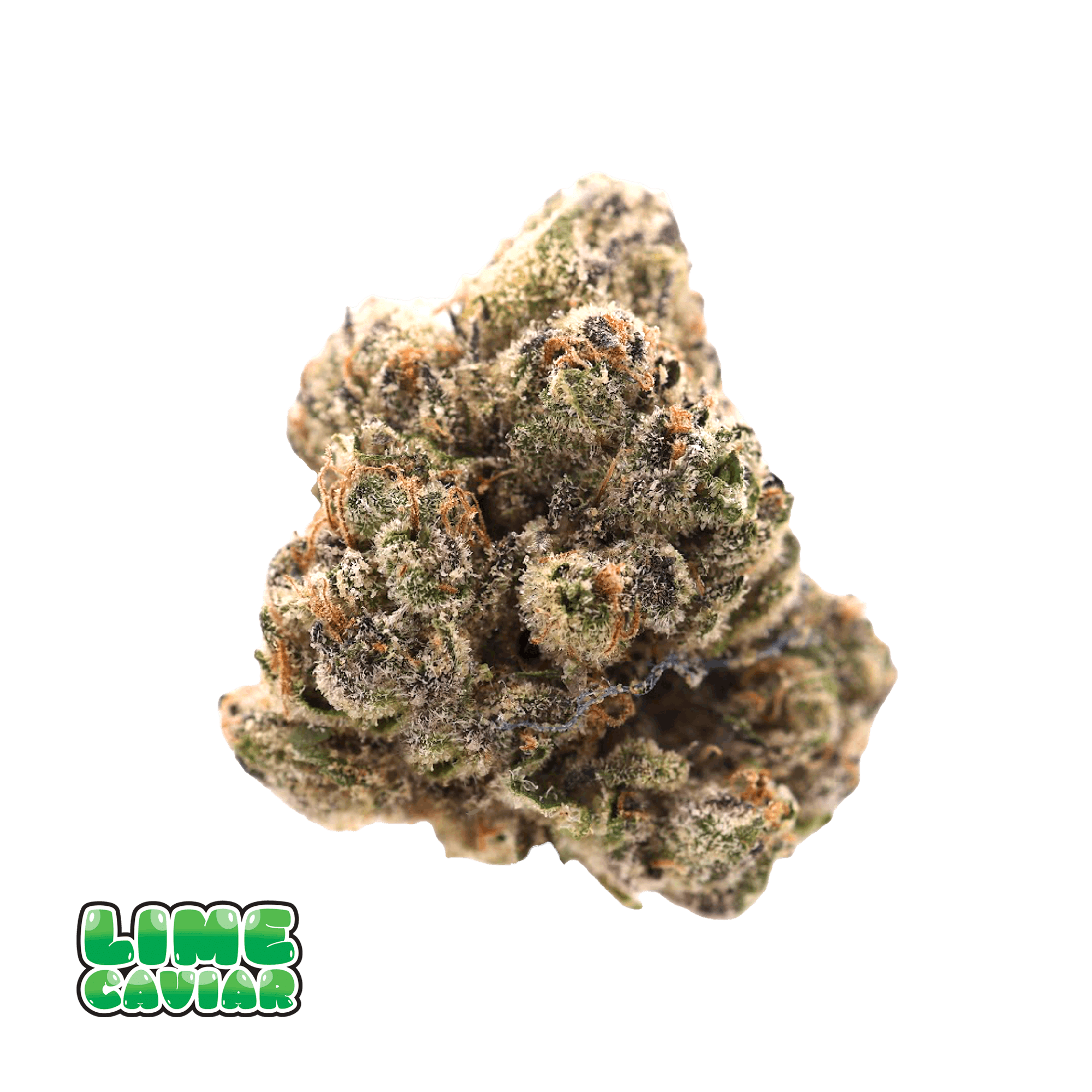 Lime Caviar | 3.5G