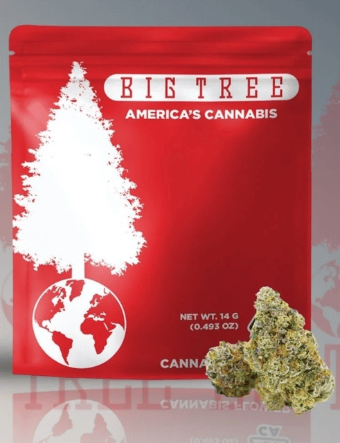 Ice Cream Cake | 14G