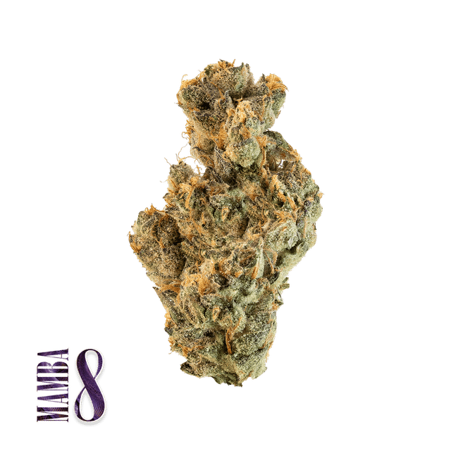 Mamba 8 | 5g Minis