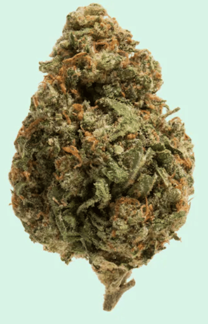Donny Burger  | 3.5G Flower