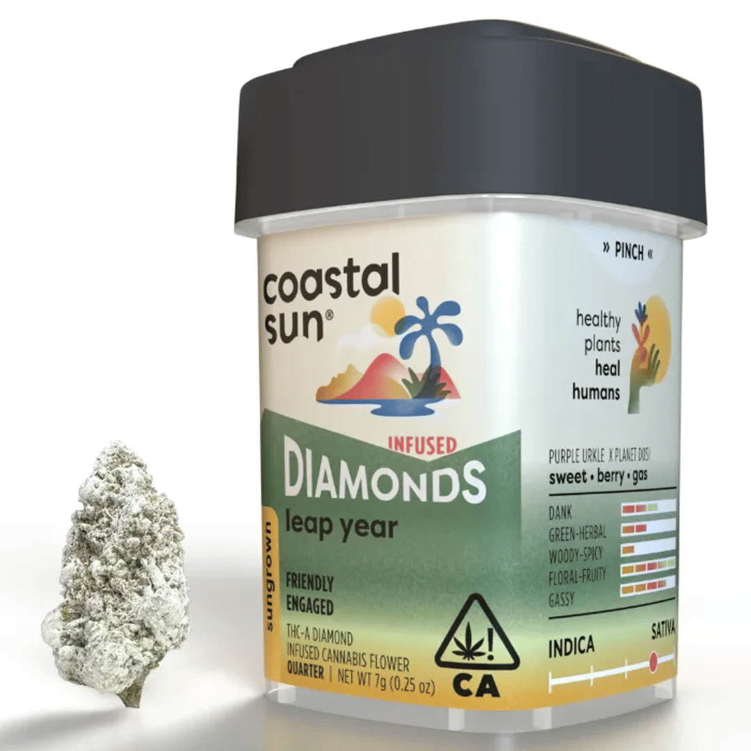Coastal Sun — Leap Year