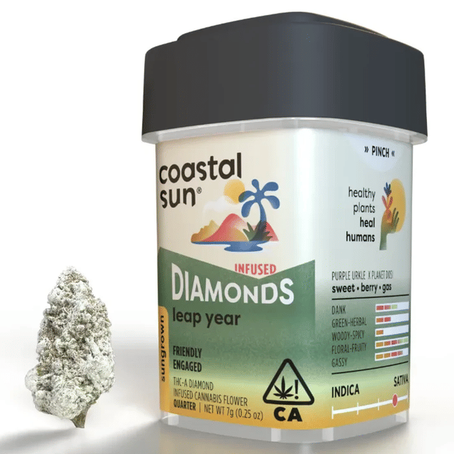 Coastal Sun — Leap Year