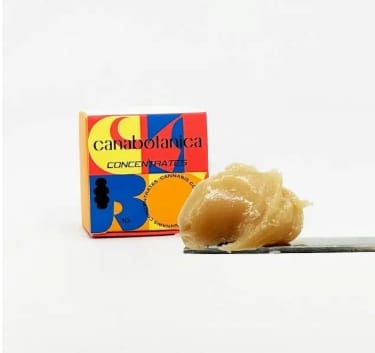 Shake Shack | 1g Rosin