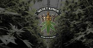 Quiet Kings — Orange Gelato