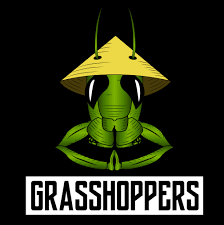 Grasshopper: Lemon Cherry