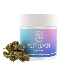 Autumn Brands — Gary