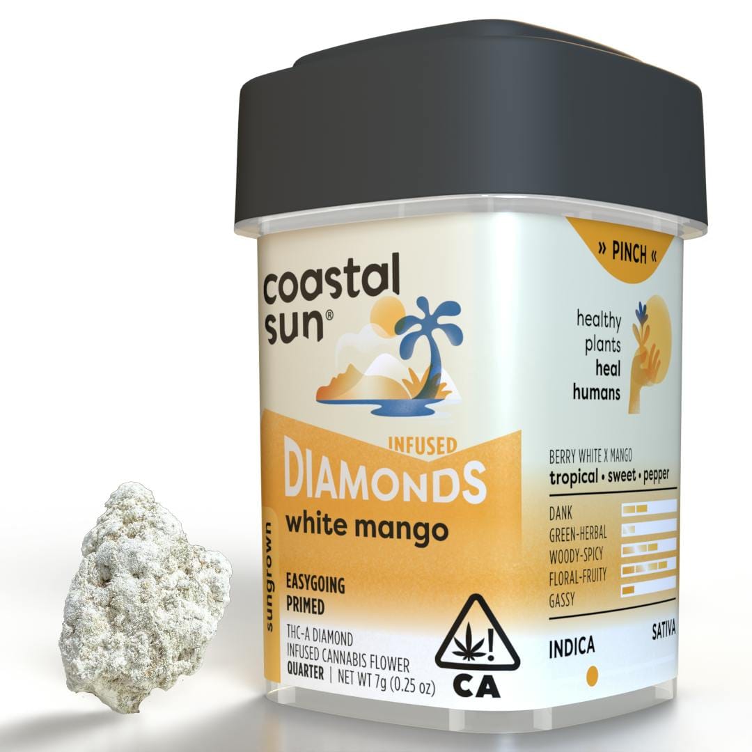 Coastal Sun — White Mango