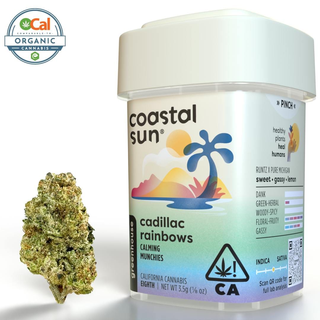 Coastal Sun: Cadillac Rainbows